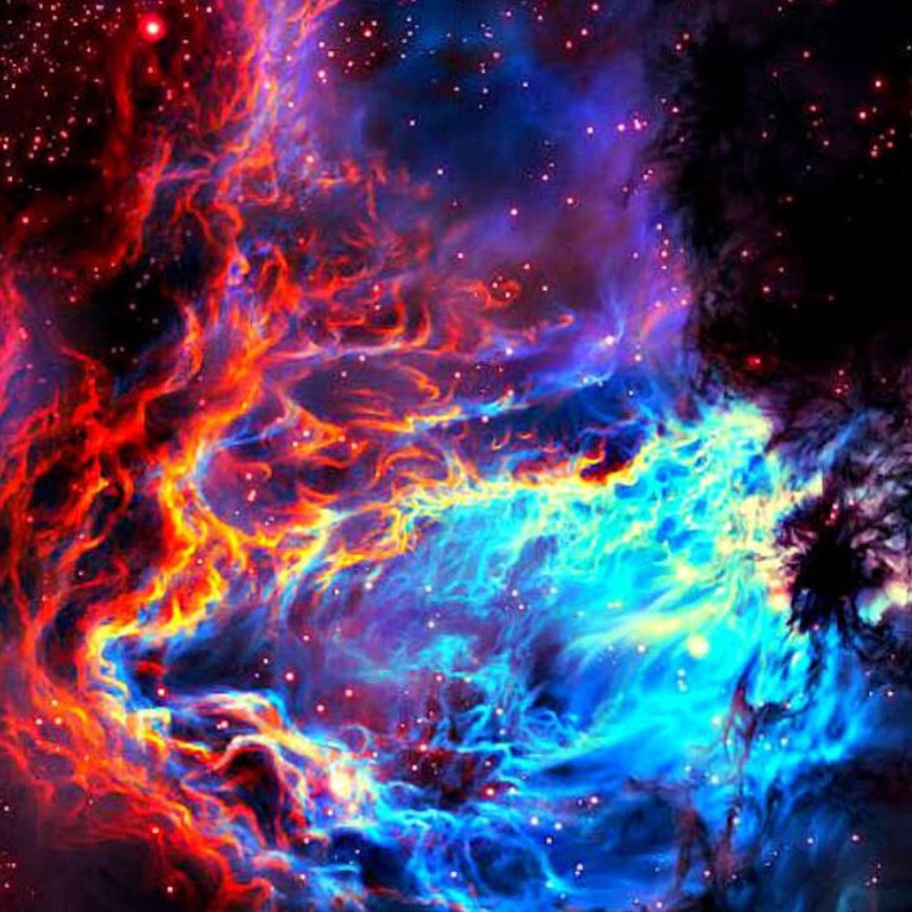 Meet your Posher, Kaylee